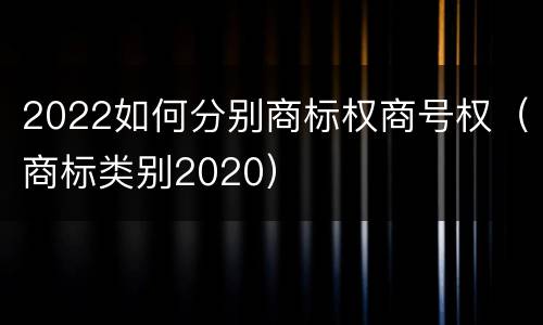 2022如何分别商标权商号权（商标类别2020）