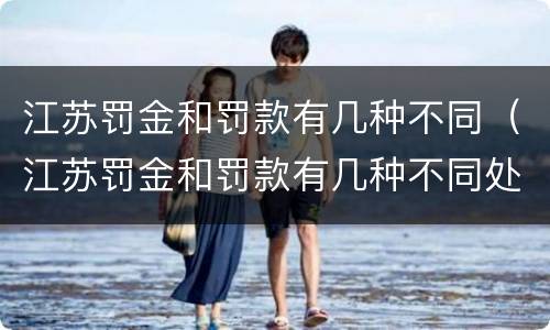 江苏罚金和罚款有几种不同（江苏罚金和罚款有几种不同处罚）