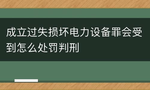 成立过失损坏电力设备罪会受到怎么处罚判刑