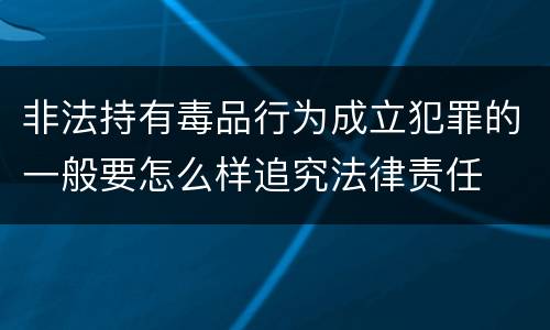 非法持有毒品行为成立犯罪的一般要怎么样追究法律责任