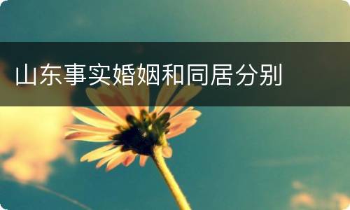 山东事实婚姻和同居分别