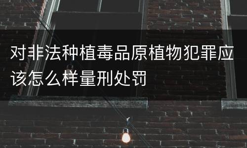 对非法种植毒品原植物犯罪应该怎么样量刑处罚