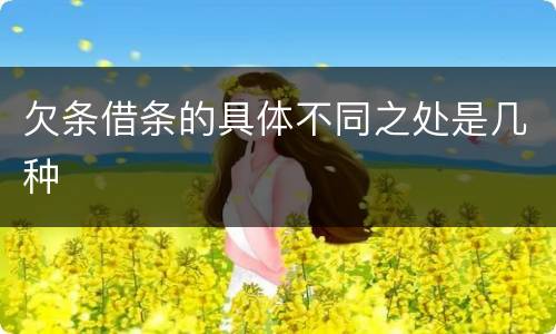 欠条借条的具体不同之处是几种
