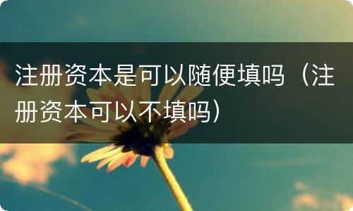 注册资本是可以随便填吗（注册资本可以不填吗）