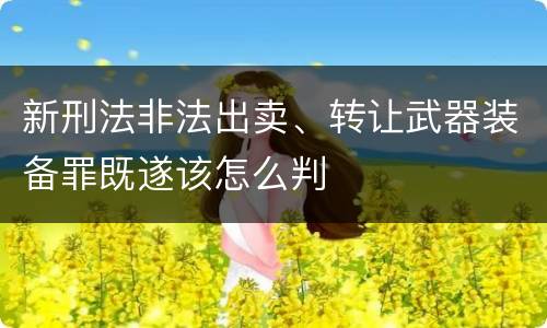 新刑法非法出卖、转让武器装备罪既遂该怎么判