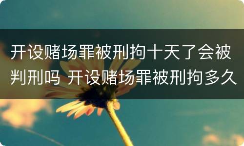 开设赌场罪被刑拘十天了会被判刑吗 开设赌场罪被刑拘多久
