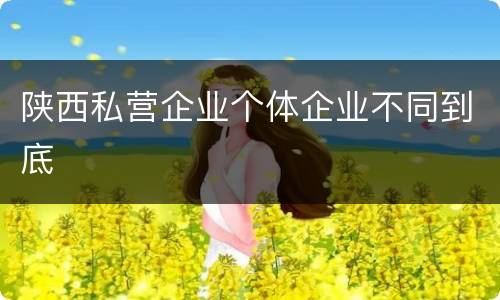 陕西私营企业个体企业不同到底