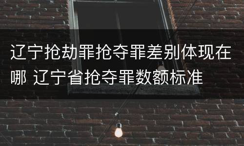 辽宁抢劫罪抢夺罪差别体现在哪 辽宁省抢夺罪数额标准