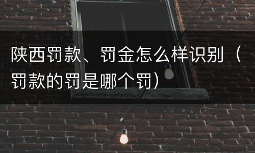 陕西罚款、罚金怎么样识别（罚款的罚是哪个罚）