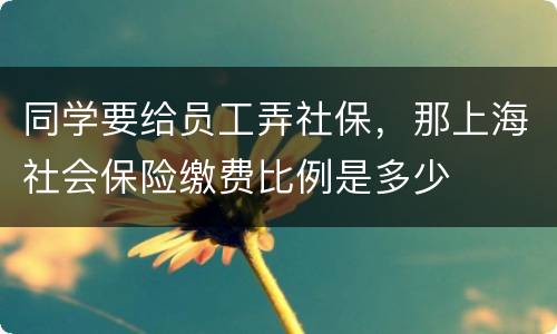 同学要给员工弄社保，那上海社会保险缴费比例是多少