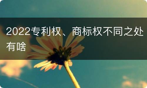 2022专利权、商标权不同之处有啥