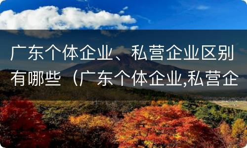 广东个体企业、私营企业区别有哪些（广东个体企业,私营企业区别有哪些呢）