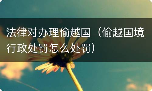 法律对办理偷越国（偷越国境行政处罚怎么处罚）
