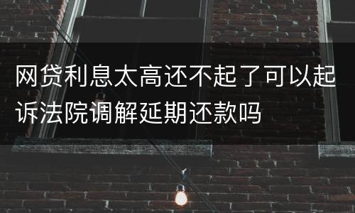 网贷利息太高还不起了可以起诉法院调解延期还款吗