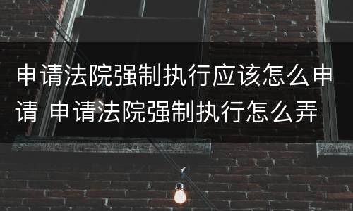 申请法院强制执行应该怎么申请 申请法院强制执行怎么弄