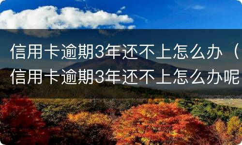 信用卡逾期3年还不上怎么办（信用卡逾期3年还不上怎么办呢）