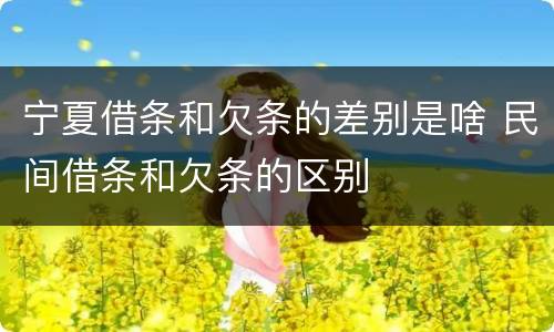 宁夏借条和欠条的差别是啥 民间借条和欠条的区别