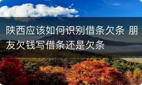 陕西应该如何识别借条欠条 朋友欠钱写借条还是欠条