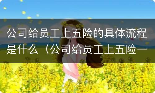 公司给员工上五险的具体流程是什么（公司给员工上五险一金流程）
