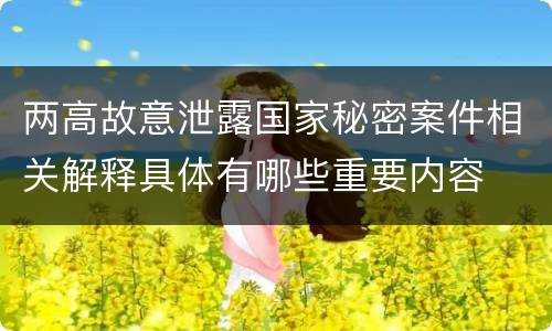 两高故意泄露国家秘密案件相关解释具体有哪些重要内容