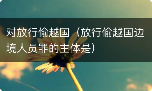 对放行偷越国（放行偷越国边境人员罪的主体是）