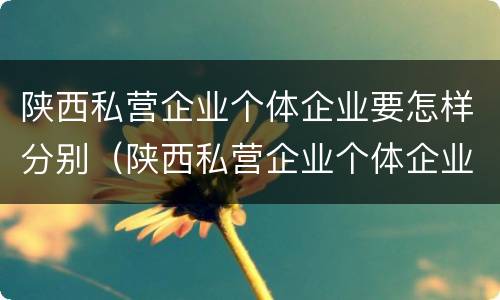 陕西私营企业个体企业要怎样分别（陕西私营企业个体企业要怎样分别开户）