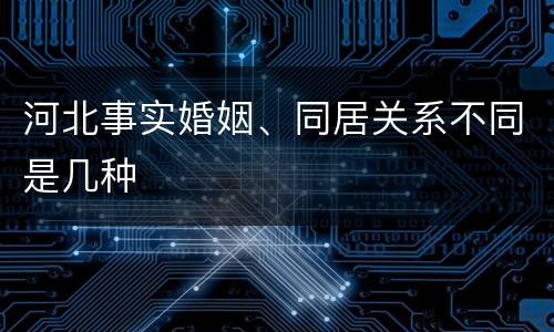 河北事实婚姻、同居关系不同是几种