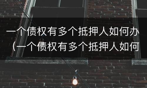 一个债权有多个抵押人如何办（一个债权有多个抵押人如何办贷款）