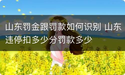 山东罚金跟罚款如何识别 山东违停扣多少分罚款多少