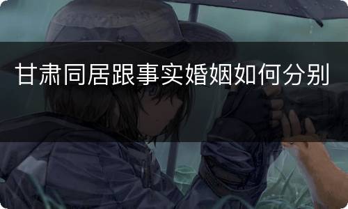 甘肃同居跟事实婚姻如何分别