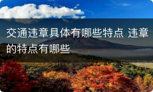 交通违章具体有哪些特点 违章的特点有哪些