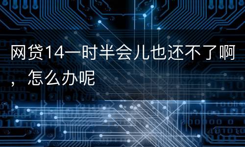 网贷14一时半会儿也还不了啊，怎么办呢