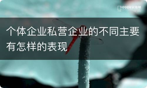 个体企业私营企业的不同主要有怎样的表现