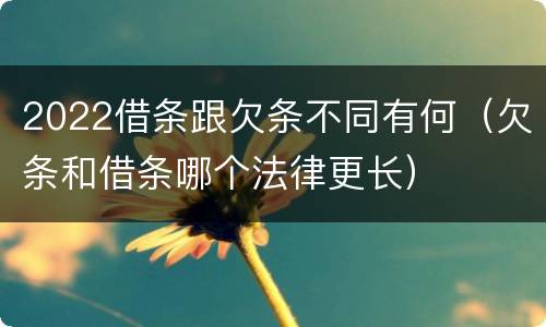 2022借条跟欠条不同有何（欠条和借条哪个法律更长）