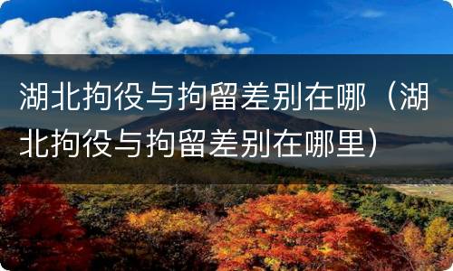 湖北拘役与拘留差别在哪（湖北拘役与拘留差别在哪里）