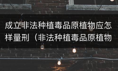 成立非法种植毒品原植物应怎样量刑（非法种植毒品原植物罪中的种植行为）