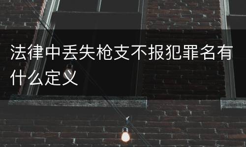 法律中丢失枪支不报犯罪名有什么定义