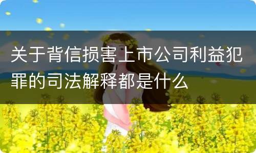 关于背信损害上市公司利益犯罪的司法解释都是什么