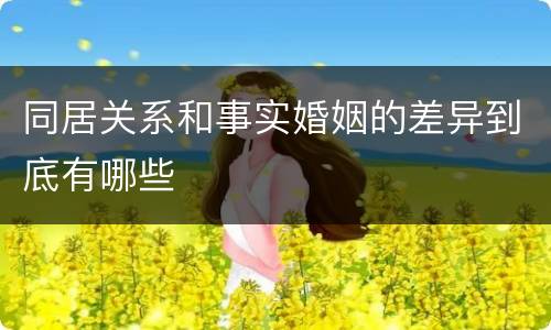 同居关系和事实婚姻的差异到底有哪些