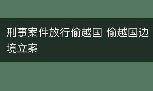 刑事案件放行偷越国 偷越国边境立案