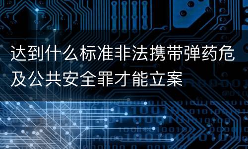 达到什么标准非法携带弹药危及公共安全罪才能立案