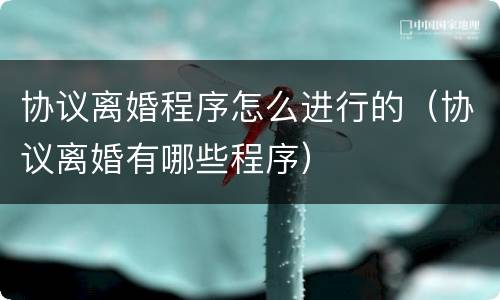 协议离婚程序怎么进行的（协议离婚有哪些程序）