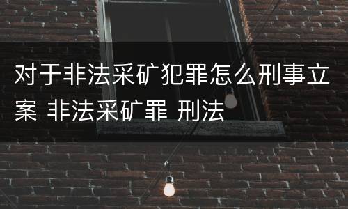 对于非法采矿犯罪怎么刑事立案 非法采矿罪 刑法