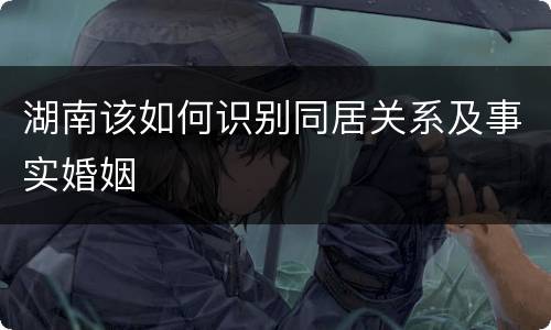 湖南该如何识别同居关系及事实婚姻