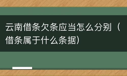 云南借条欠条应当怎么分别（借条属于什么条据）