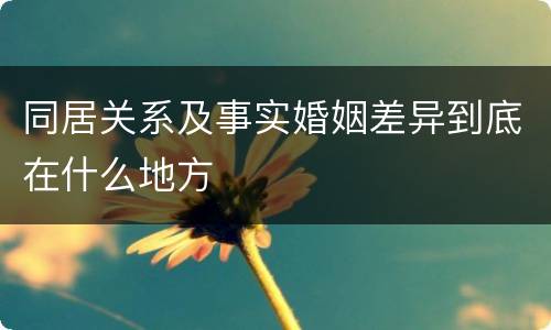 同居关系及事实婚姻差异到底在什么地方