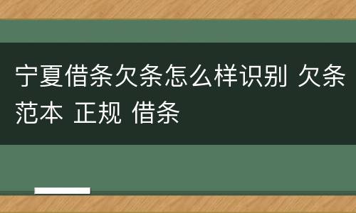 宁夏借条欠条怎么样识别 欠条范本 正规 借条