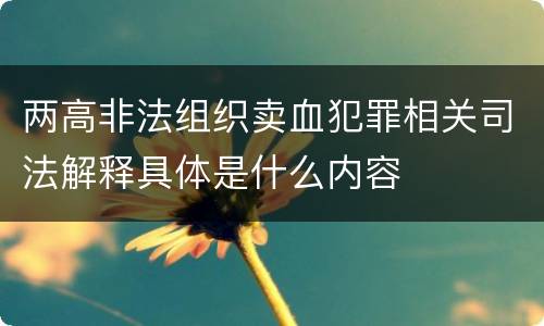 两高非法组织卖血犯罪相关司法解释具体是什么内容