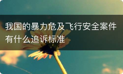 我国的暴力危及飞行安全案件有什么追诉标准