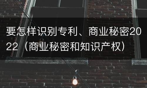 要怎样识别专利、商业秘密2022（商业秘密和知识产权）